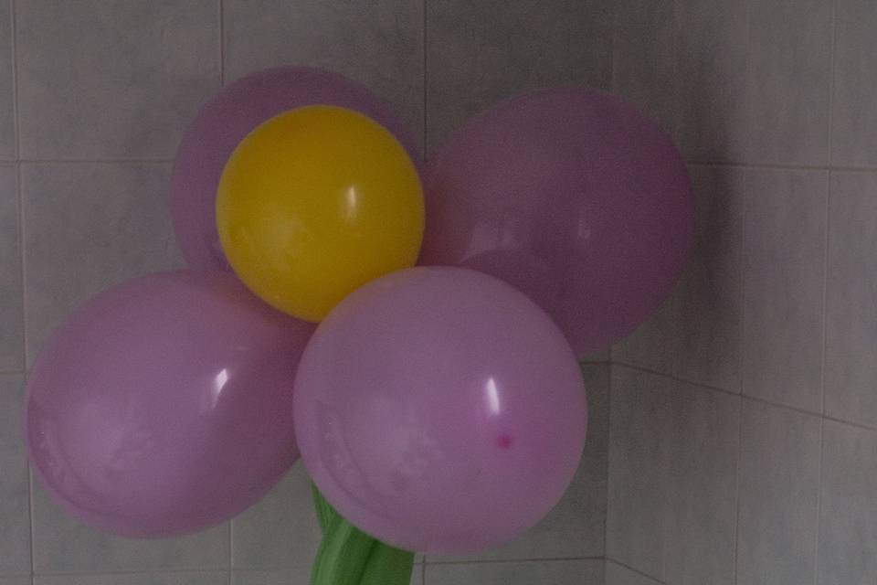 Palloncini sagomabili fiori