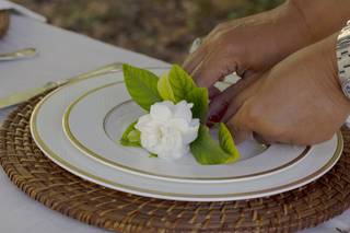 Titti Guccini Events 1