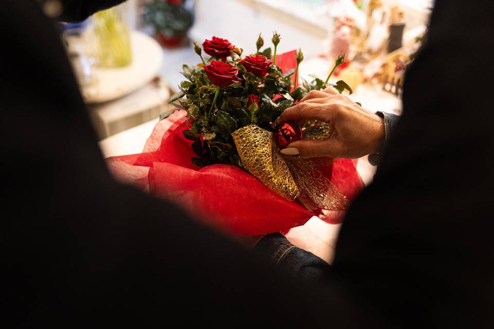 Una sposa a Natale?