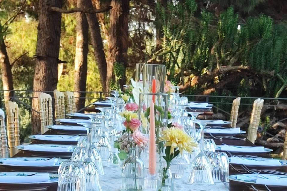 Allestimento tavolo
