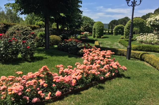 Giardino in fiore