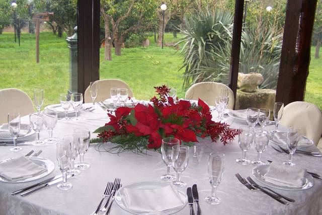 Particolare sala a vetri