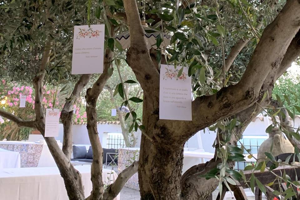 Personalizzazione ambiente
