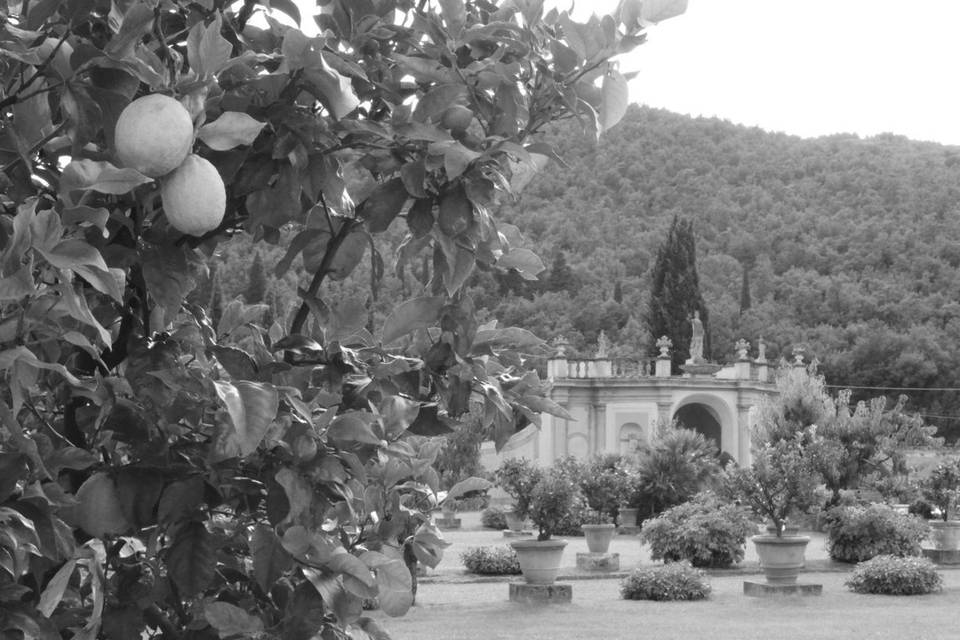 Wedding in Villa Travalle FI