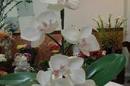 Composizione con orchidee