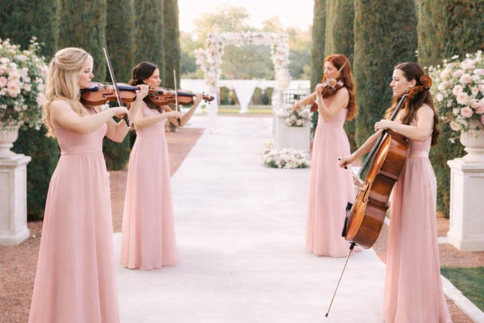 Bridgerton String Quartet