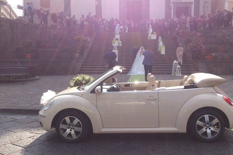 New beetle cabrio beige luna