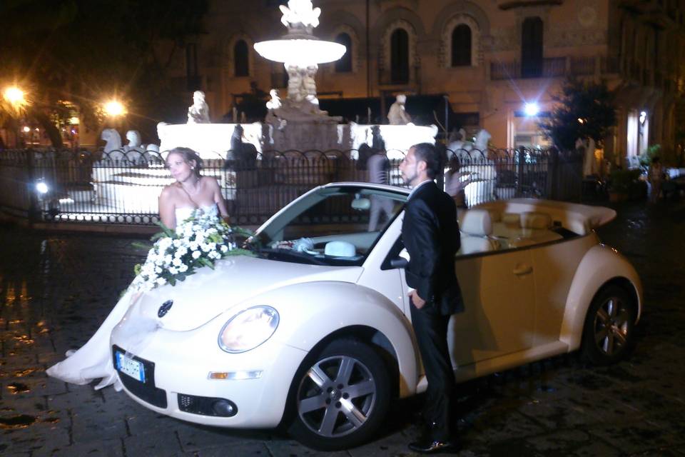 New beetle cabrio beige luna