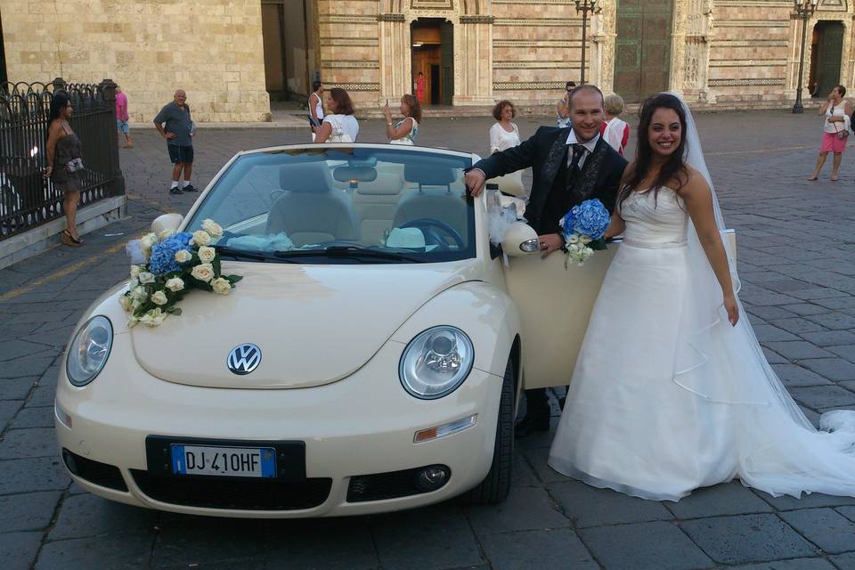 New beetle cabrio beige luna