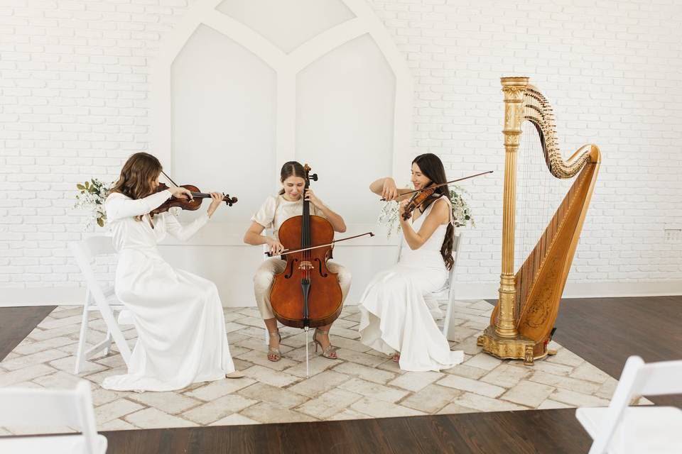 Matrimoni in Musica Venezia