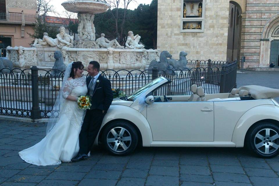 New beetle cabrio beige luna