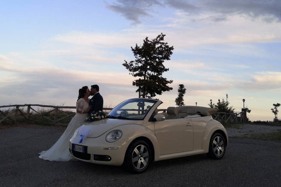 New beetle cabrio beige luna