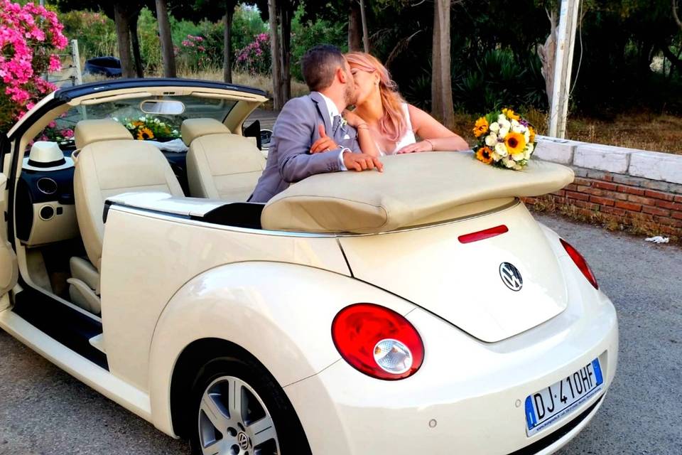 New beetle cabrio beige luna