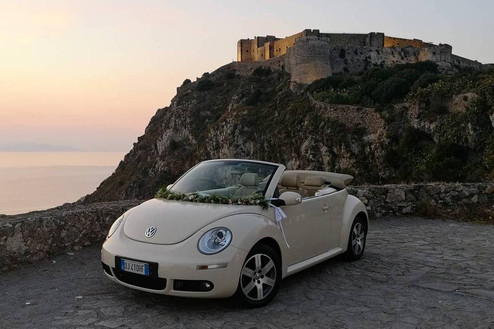 New beetle cabrio beige luna