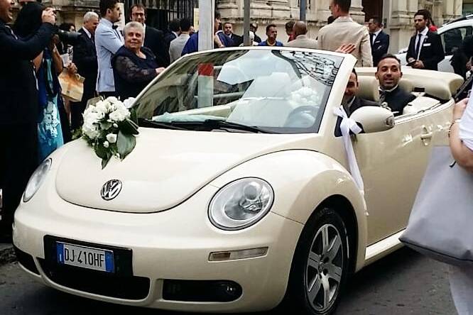 New beetle cabrio beige luna