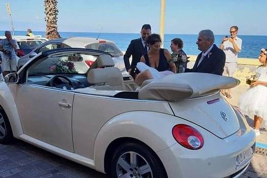 New beetle cabrio beige luna