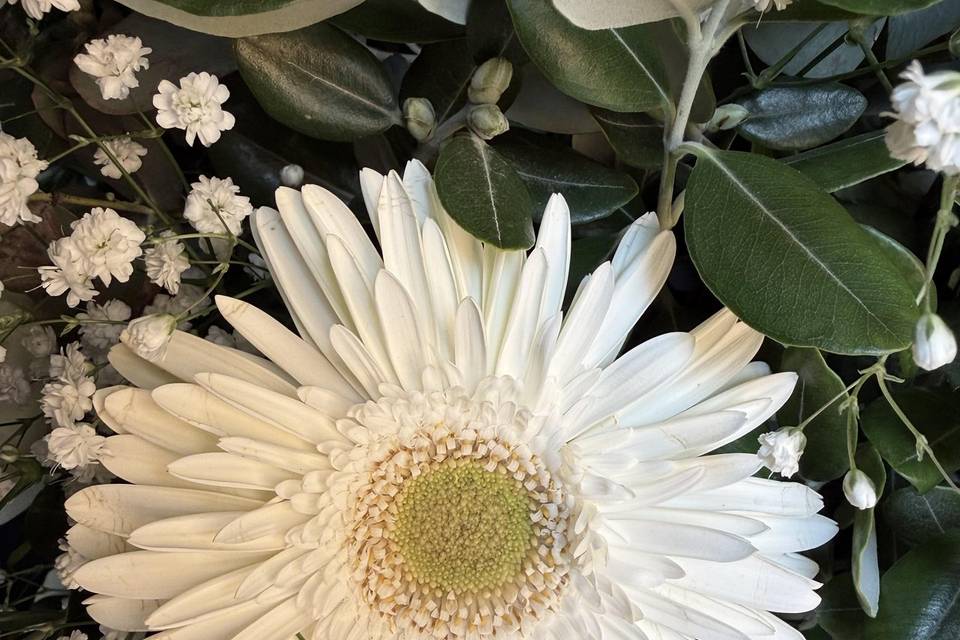 Fiori