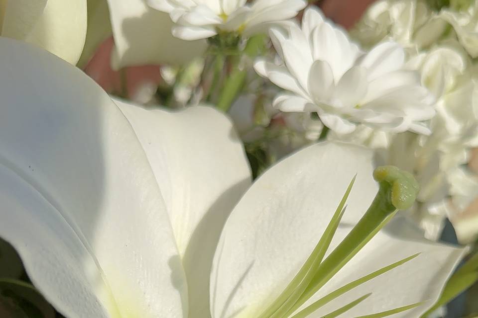 Fiori
