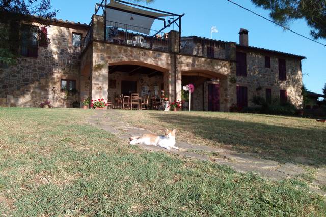 Casale