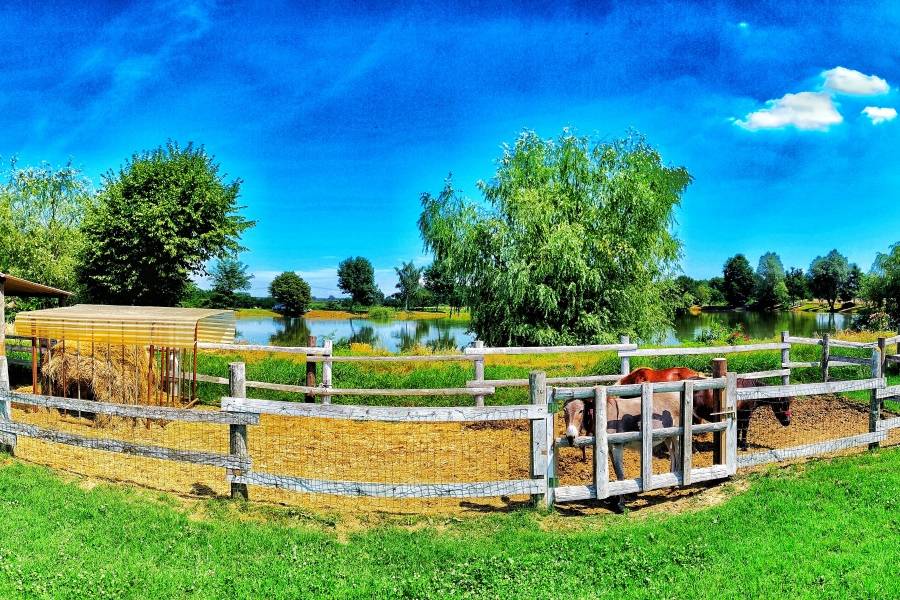 Parco esterno