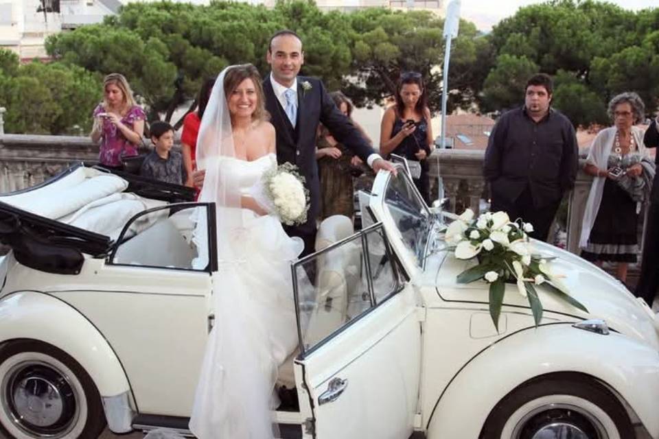 Maggiolino