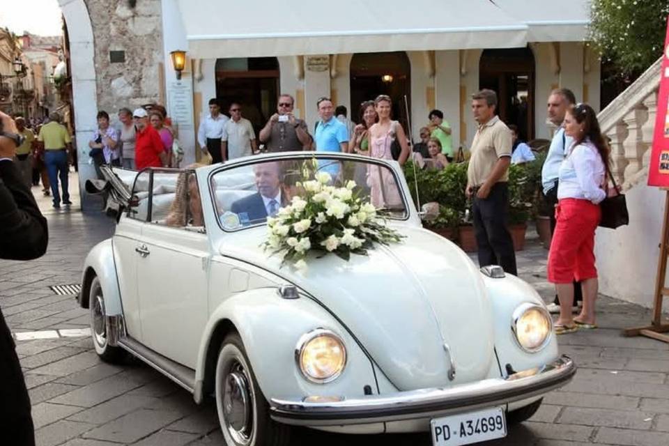 Maggiolino