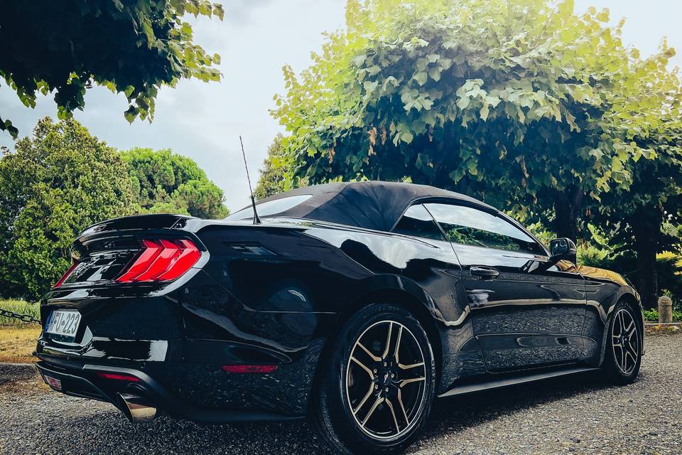 Ford Mustang Cabrio