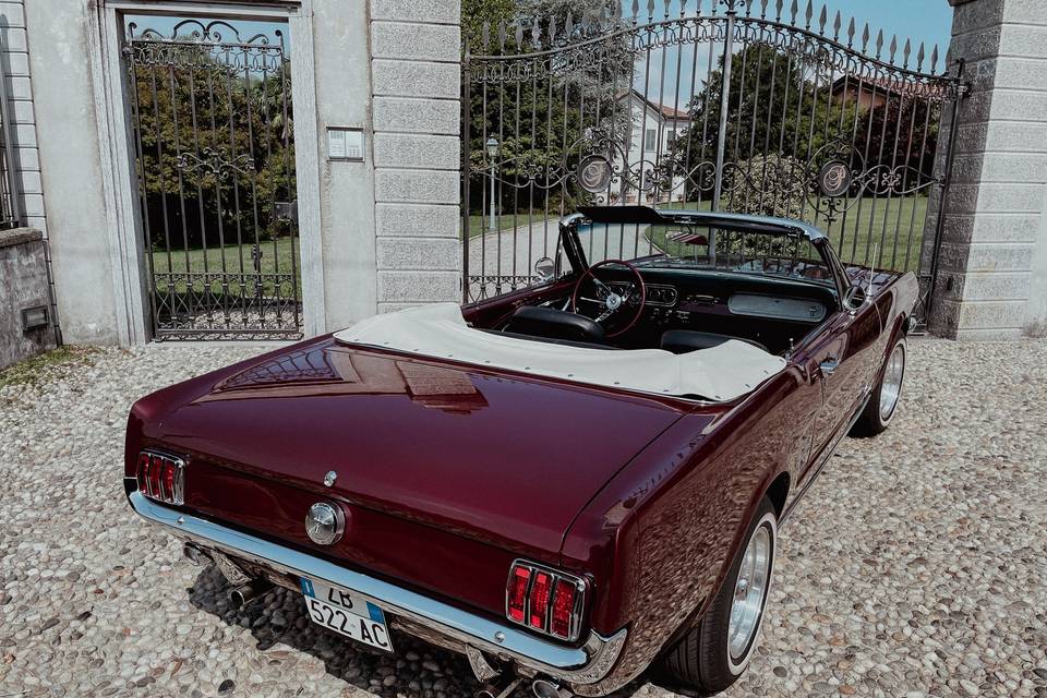Ford Mustang Bordeaux