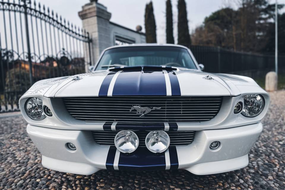 Shelby GT500 