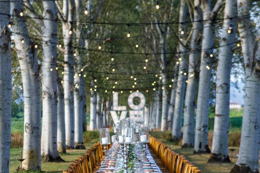 Table setting