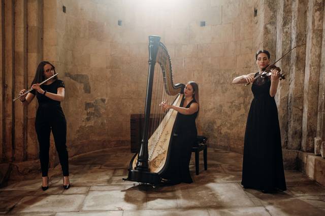 Trio Arpa, Flauto e Violino
