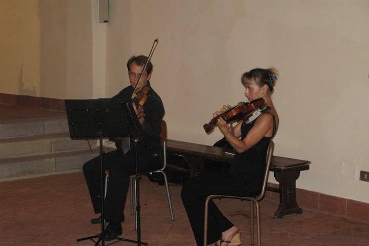 Violino e viola