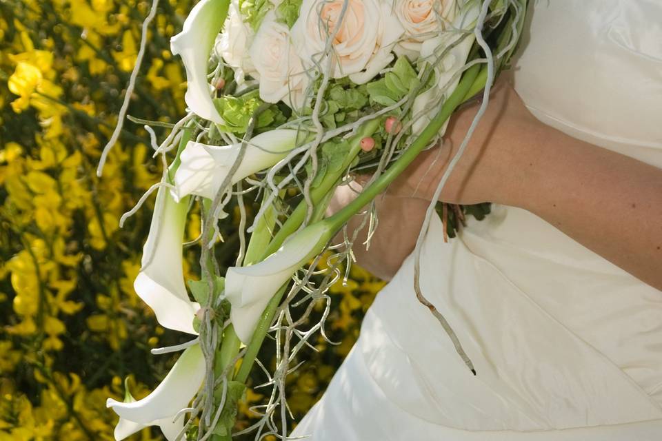 Fioreria Arte Fiore di Nanetti Manuela