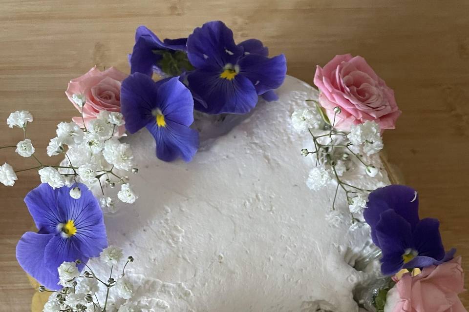 Violetta