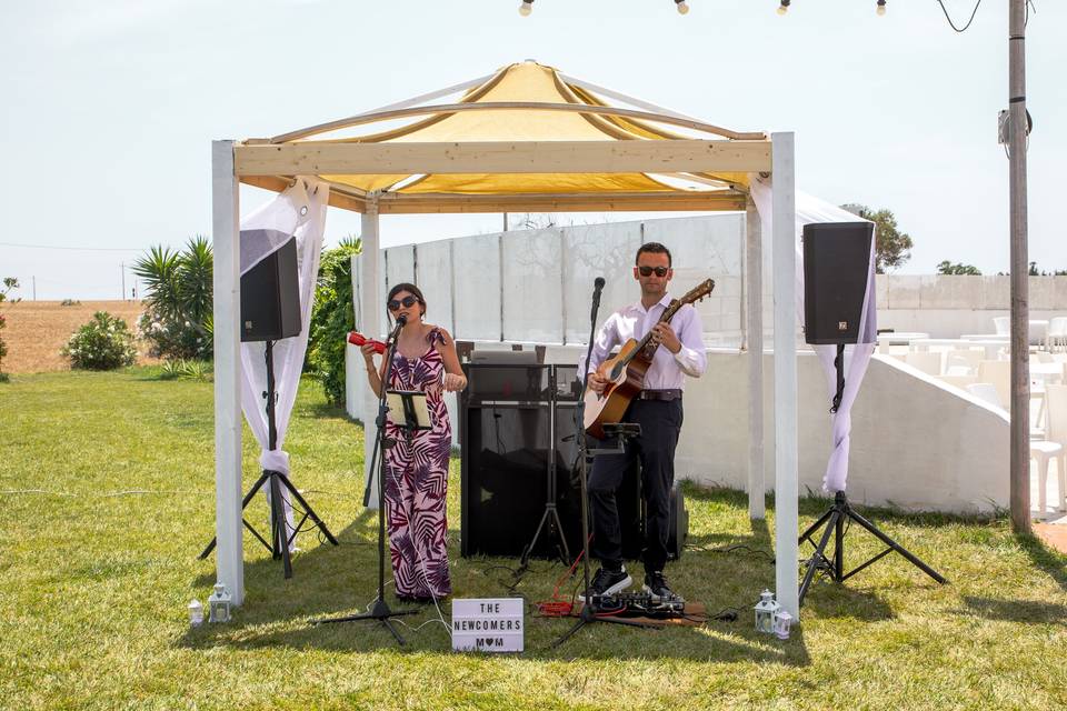Wedding live 2025