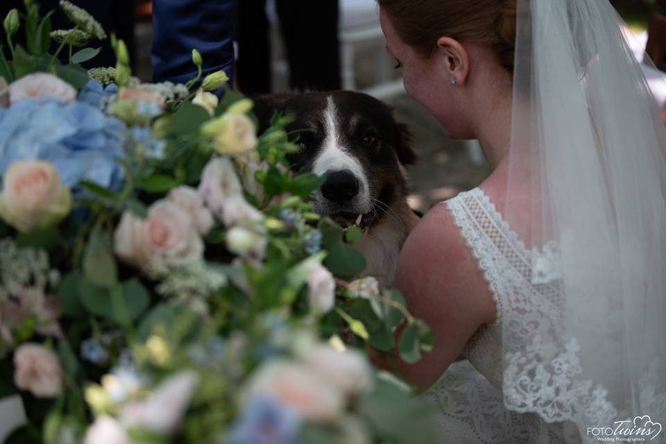 Wedding Dog Lady