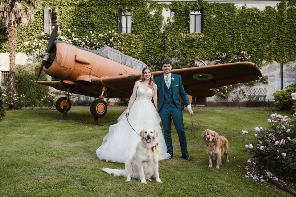 Wedding Dog Lady - Elfdog