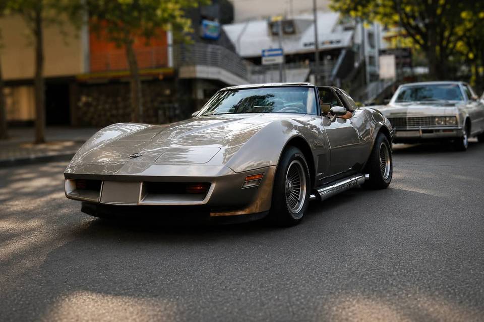 Corvette c3 collectors edition