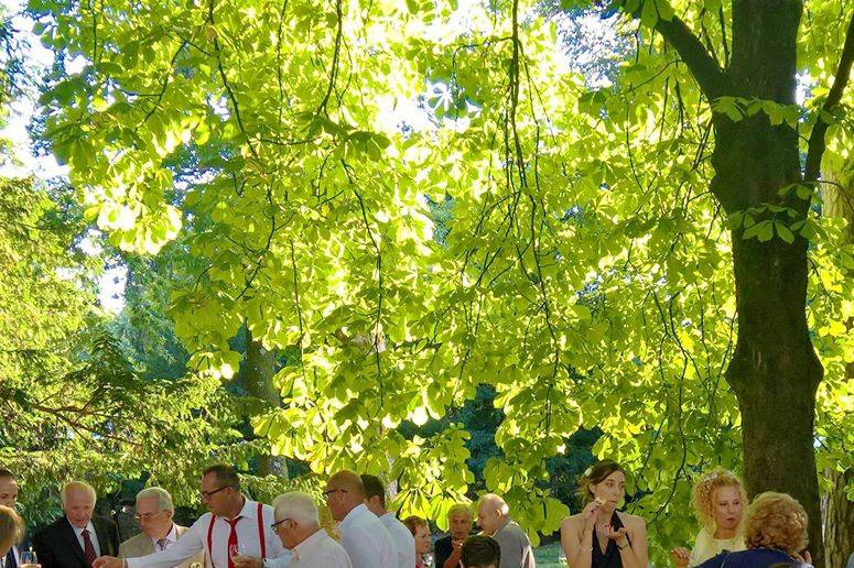 Buffet di benvenuto nel parco