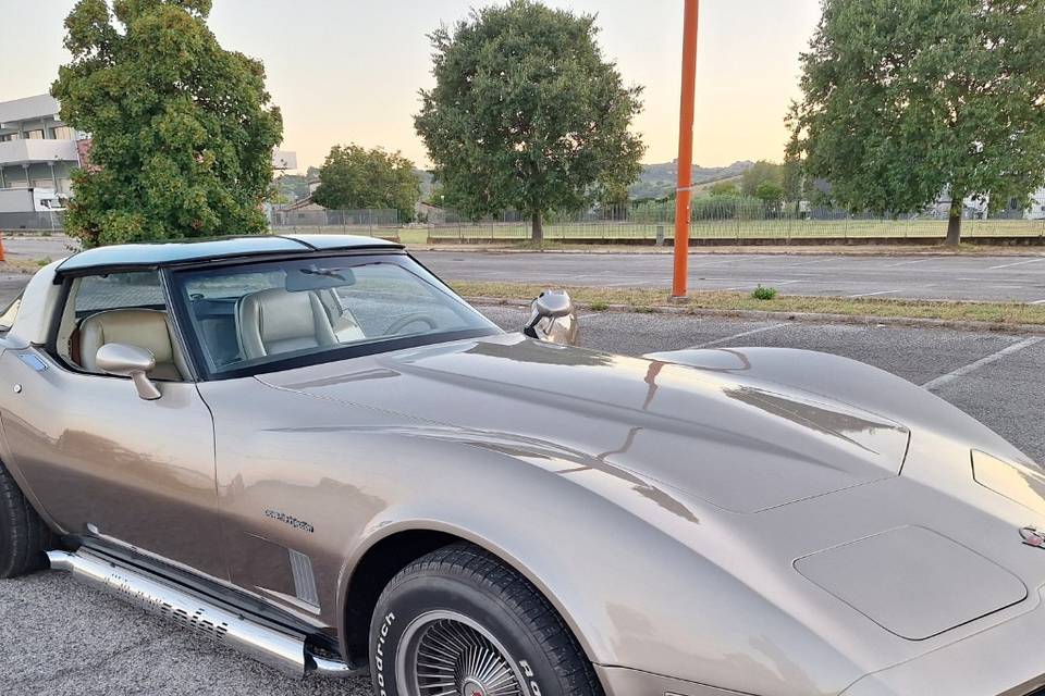 C3 collector edition