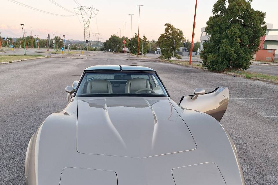 C3 collector edition