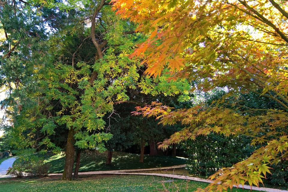 Il nostro giardino