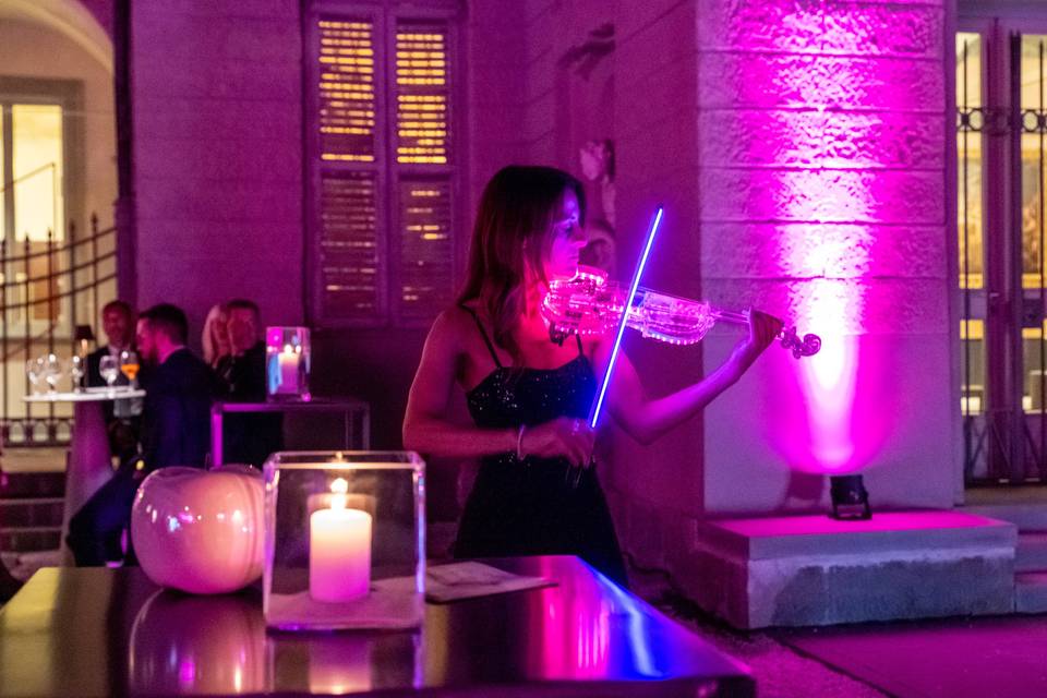 Violino led