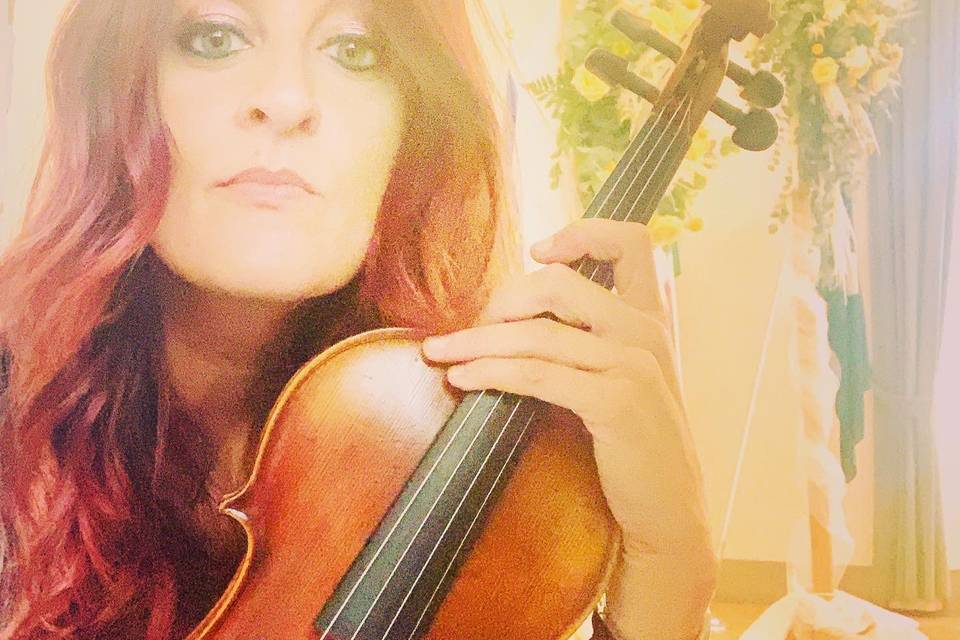 Violino