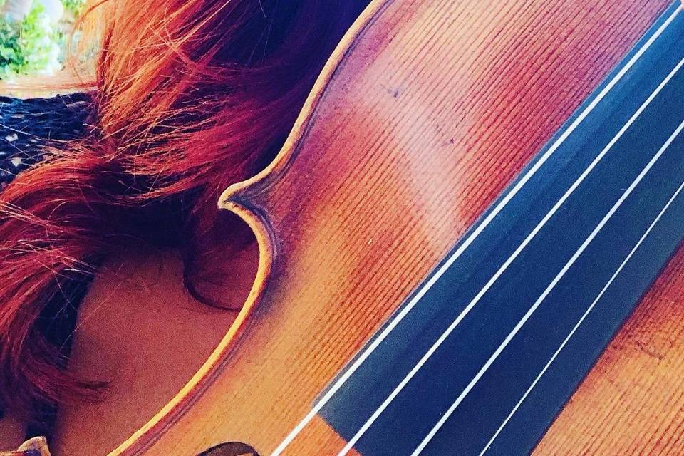 Violino