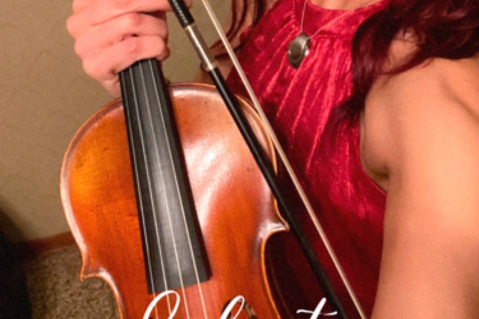 Violino