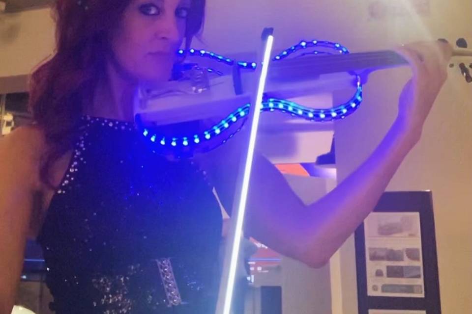 Violino