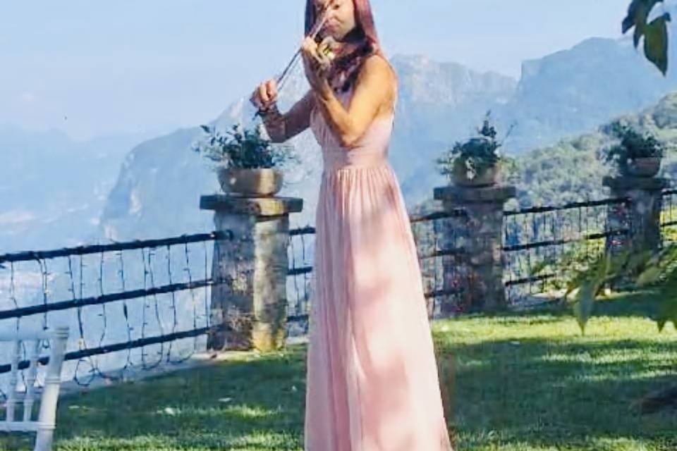 Violino