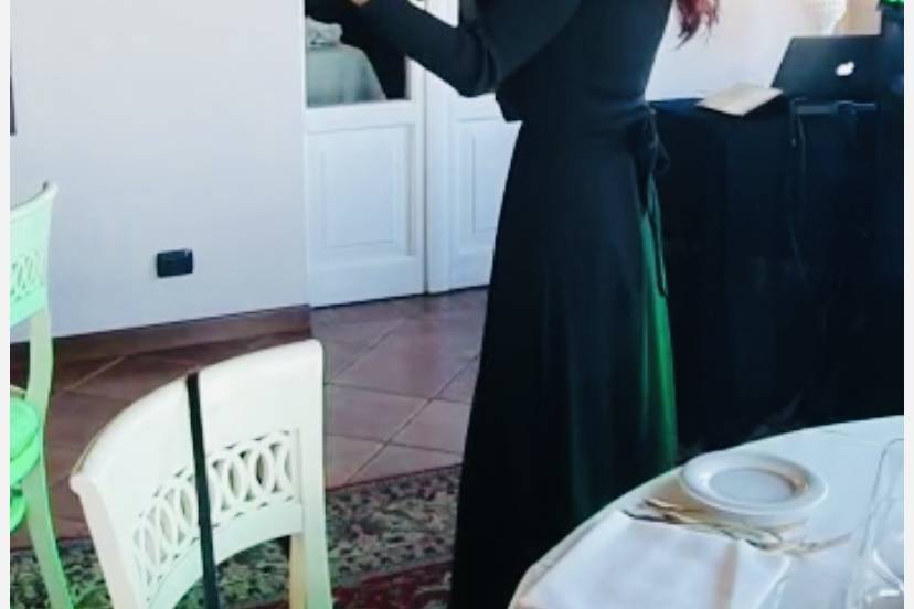 Violino elettrico aperitivo