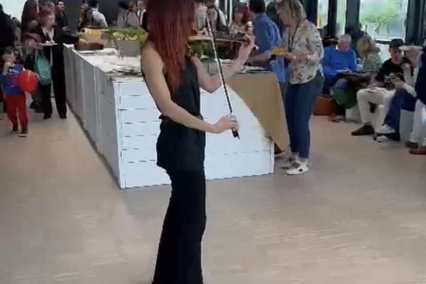 Violino eventi